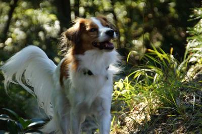 20120701_10.jpg