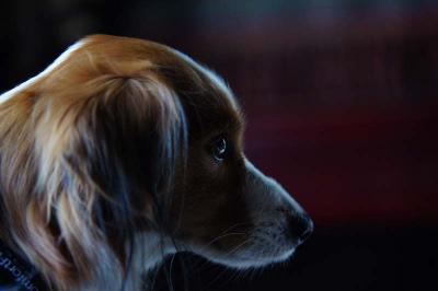20120701_11.jpg
