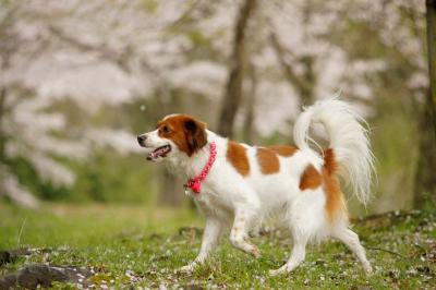 20120701_12.jpg