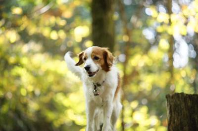 20120701_7.jpg