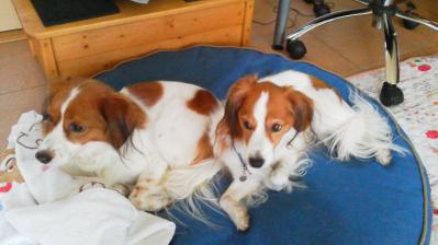 2012092414370001.jpg