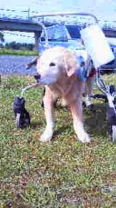 2012100513320000.jpg