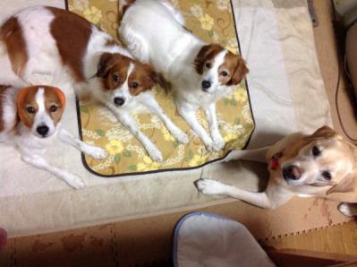 20121214-1.jpg