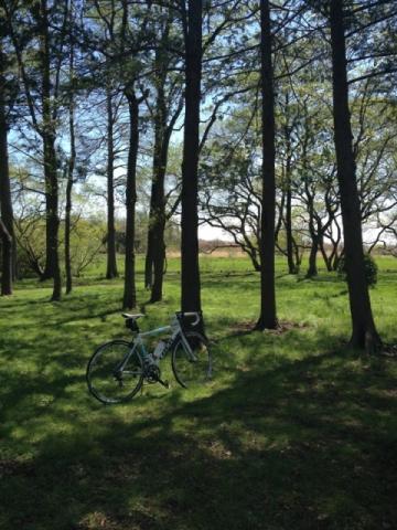 TREK_20130407_04.jpg
