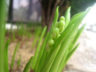 130406-2.jpg