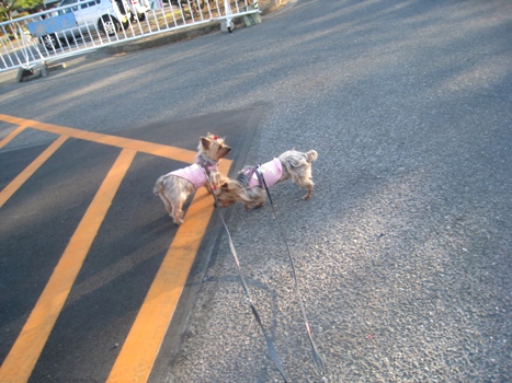 130416-2a.jpg