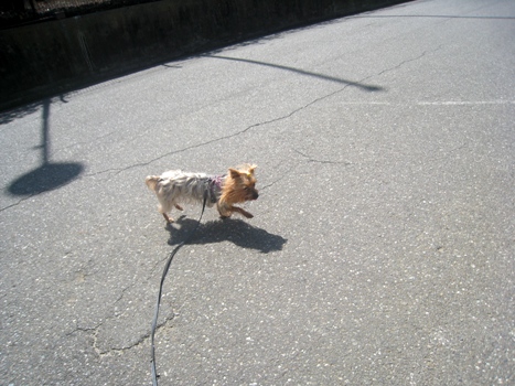 130422-1.jpg