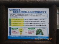 IMGP2771.jpg