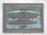 IMGP2790.jpg