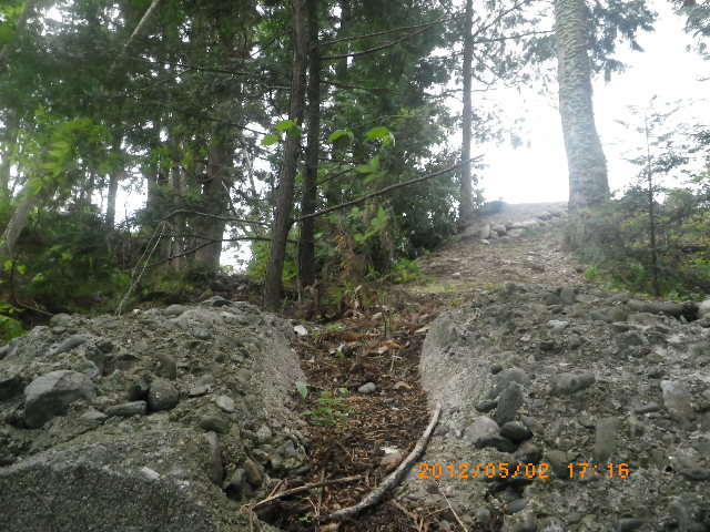 IMGP2852.jpg