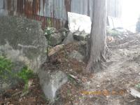 IMGP2854.jpg