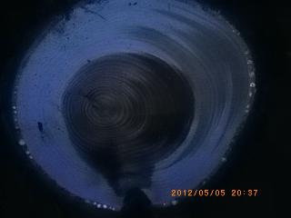 IMGP2864.jpg