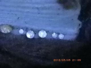 IMGP2872.jpg