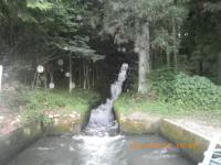 IMGP3300.jpg