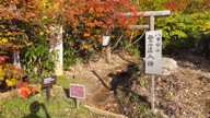 DSCF0447hakkodasan_s.jpg
