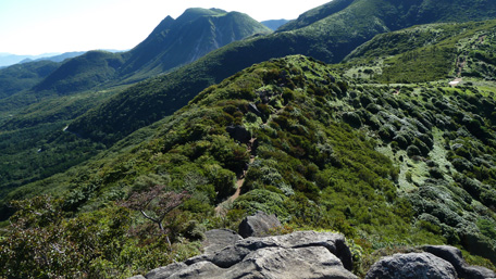 P1080619kujusan.jpg