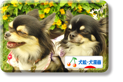 クリックしてね