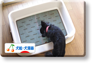 クリックしてね
