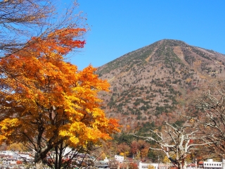 20141026_9.jpg
