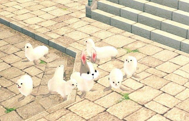 mabinogi_2012_11_04_001.jpg