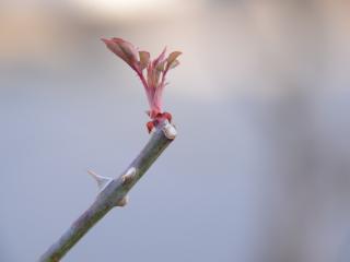 201303232-5