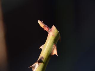 201303232-7