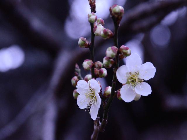 20130320-4