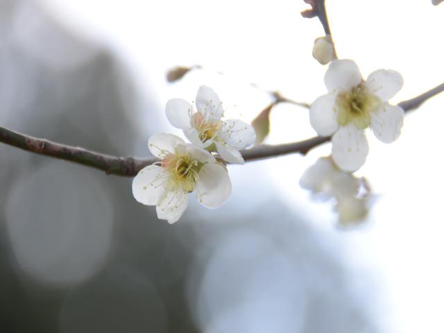 20130323-2
