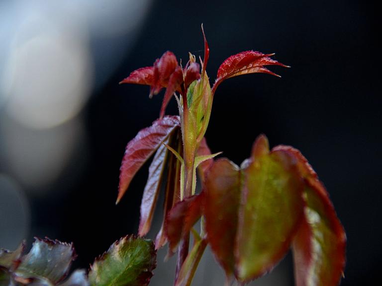 20130503-1