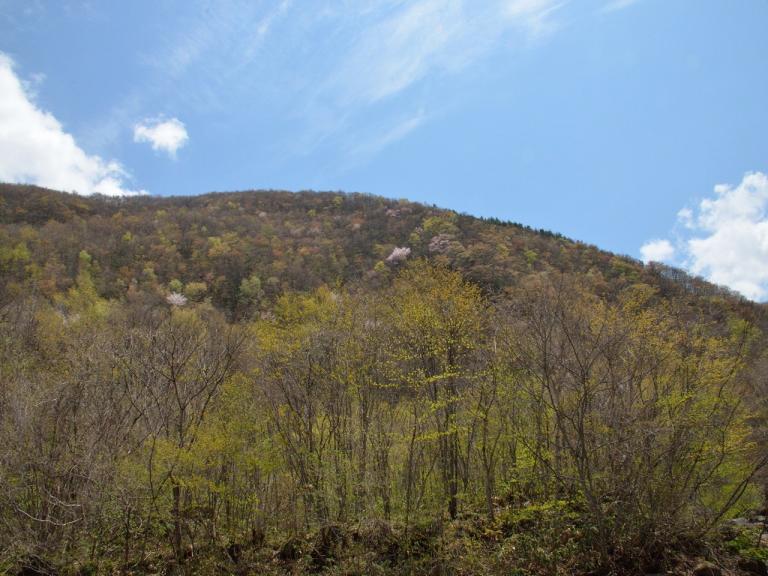 20130504-3