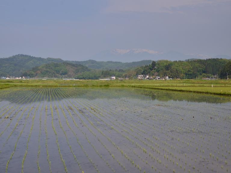 20130520-2