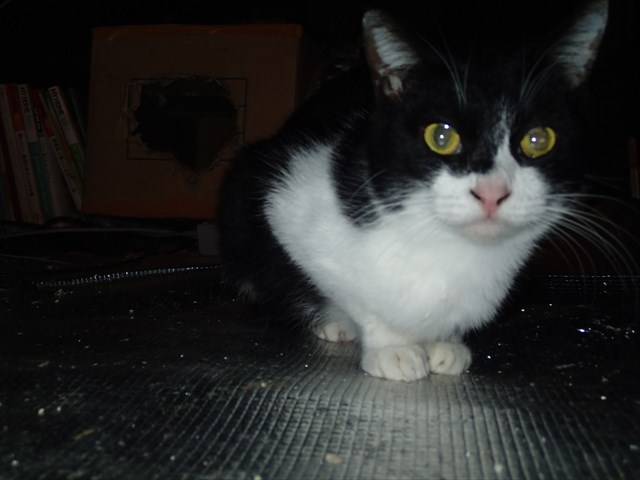 P1050021_R.jpg