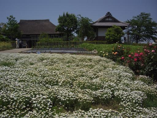 都市農業公園