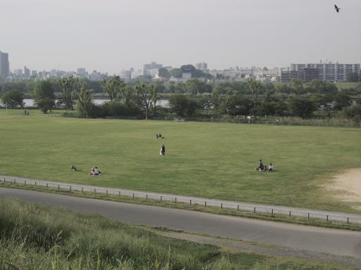 金環食2012
