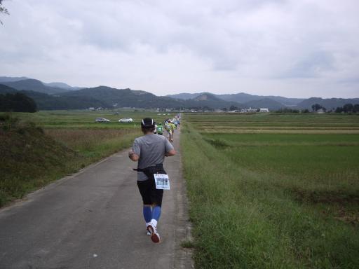 えちご・くびき野100kmマラソン