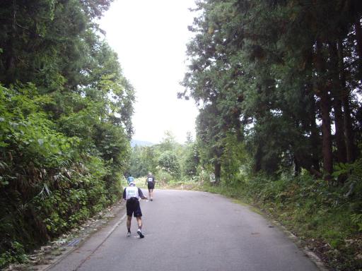 えちご・くびき野100kmマラソン