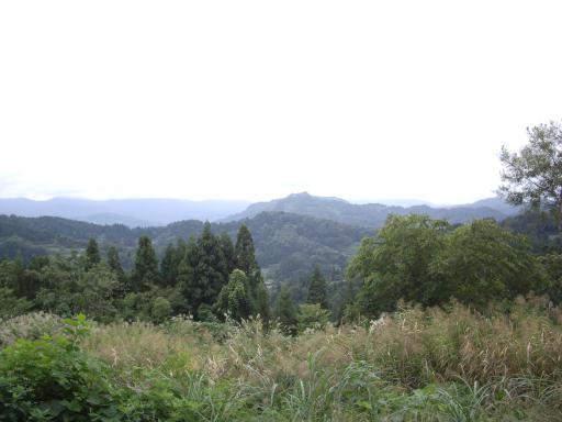 えちご・くびき野100kmマラソン