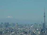 富士山(市川アイ・リンクタウン展望施設から)