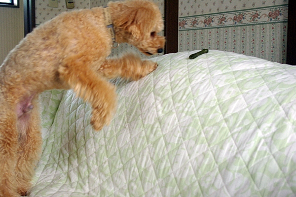 077_20120622134735.jpg