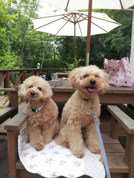20120601_125355.jpg