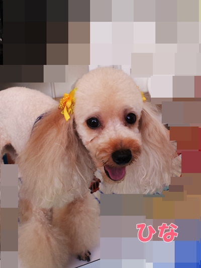 20120730_174740.jpg