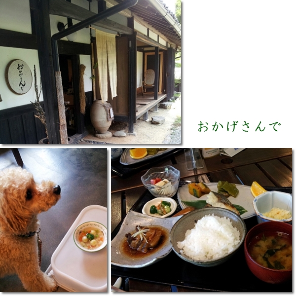 おかげさんで