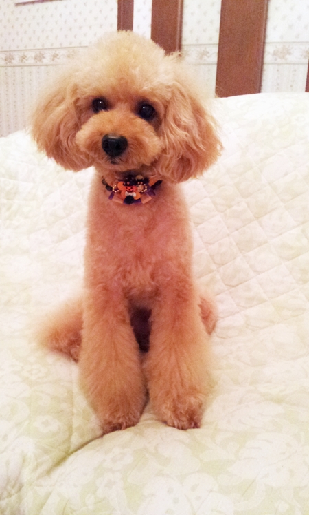 20121011_211721.jpg
