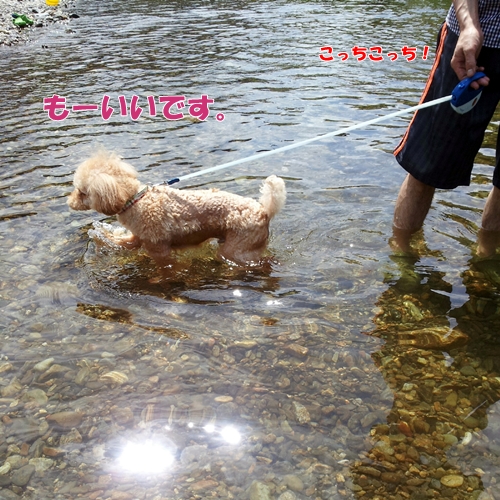 IMG125238.jpg