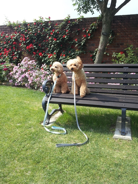 IMG_20120601_151209.jpg