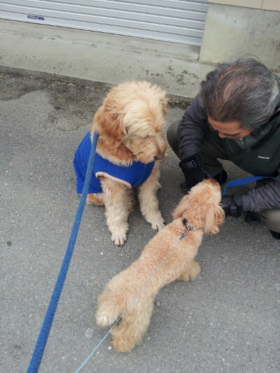 fc2blog_20121205123907a92.jpg
