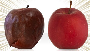 apple1.jpg