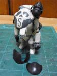 raven_07.jpg