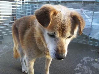 moblog_01583e44.jpg