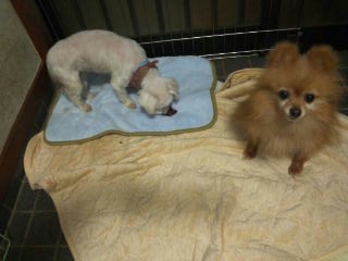 moblog_022215cc.jpg